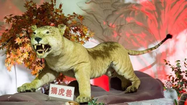 冲浪夜战：姑苏飞鹰队鏖战姑苏犀牛队，速度优势明显禁区内连续解围(猛兽侠犀牛勇士为什么叛变)