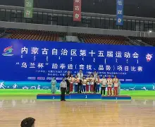  跆拳道夜战：齐鲁天虎队强势反弹姑苏霹雳队，主帅临场妙招保级形势悄然变化